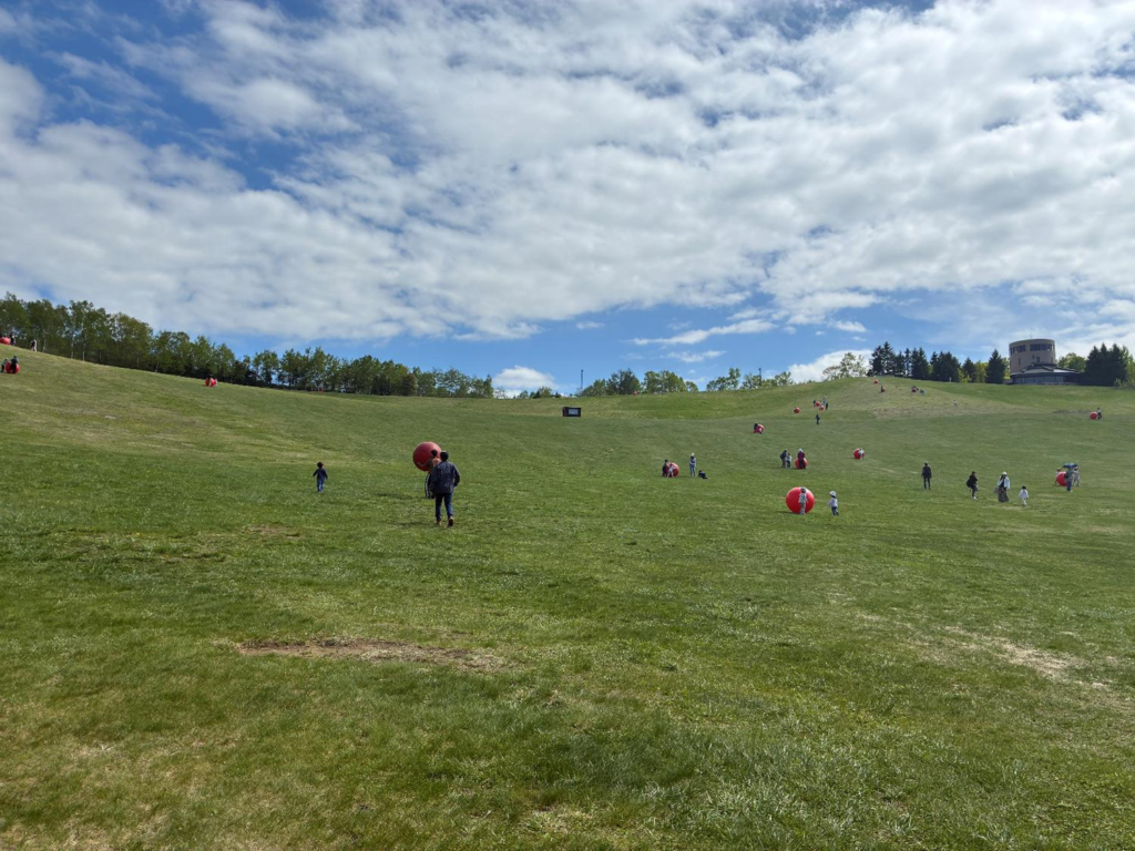 国営滝野すずらん丘陵公園の遊具の様子