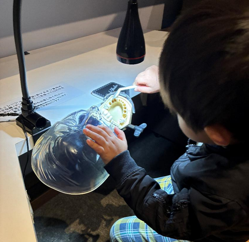 北大博物館で子どもが体験する様子