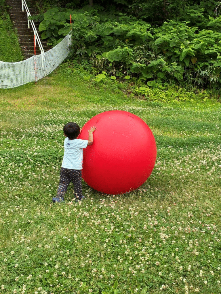 こどもが大玉で遊ぶ様子