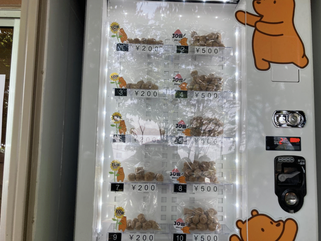 クマの餌
