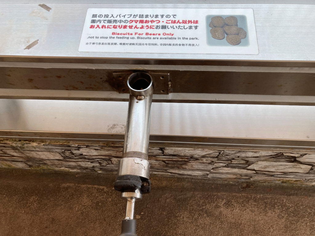 クマの餌やり