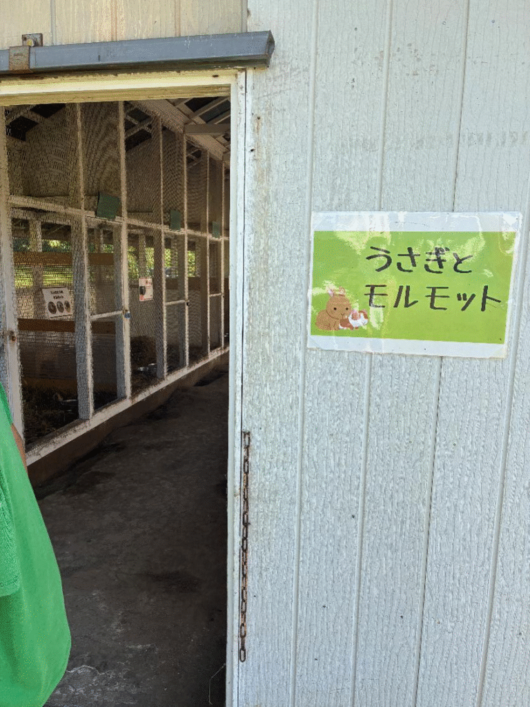 ハイジ牧場のうさぎ小屋の様子