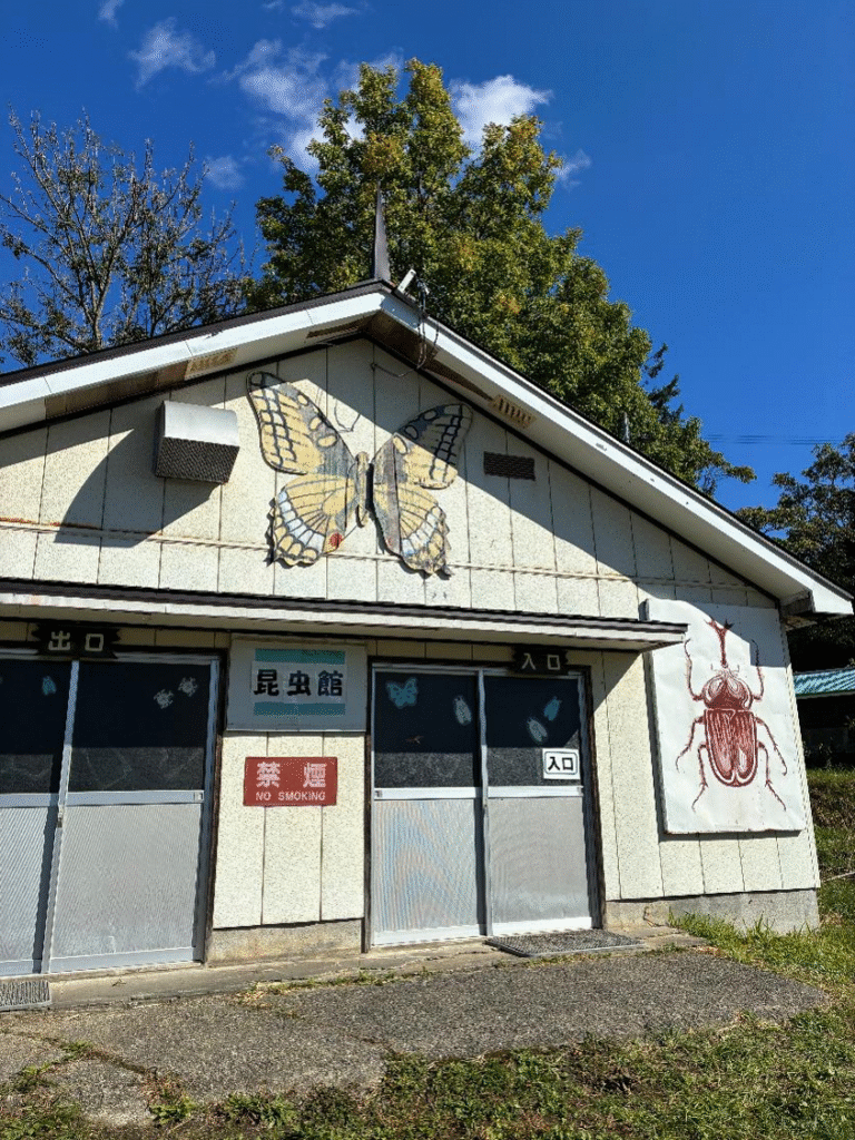 ハイジ牧場の昆虫館の様子