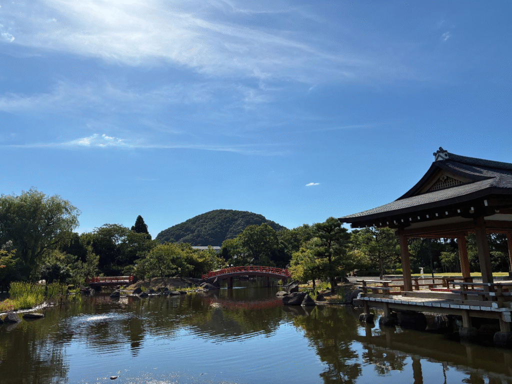 紫式部公園の様子