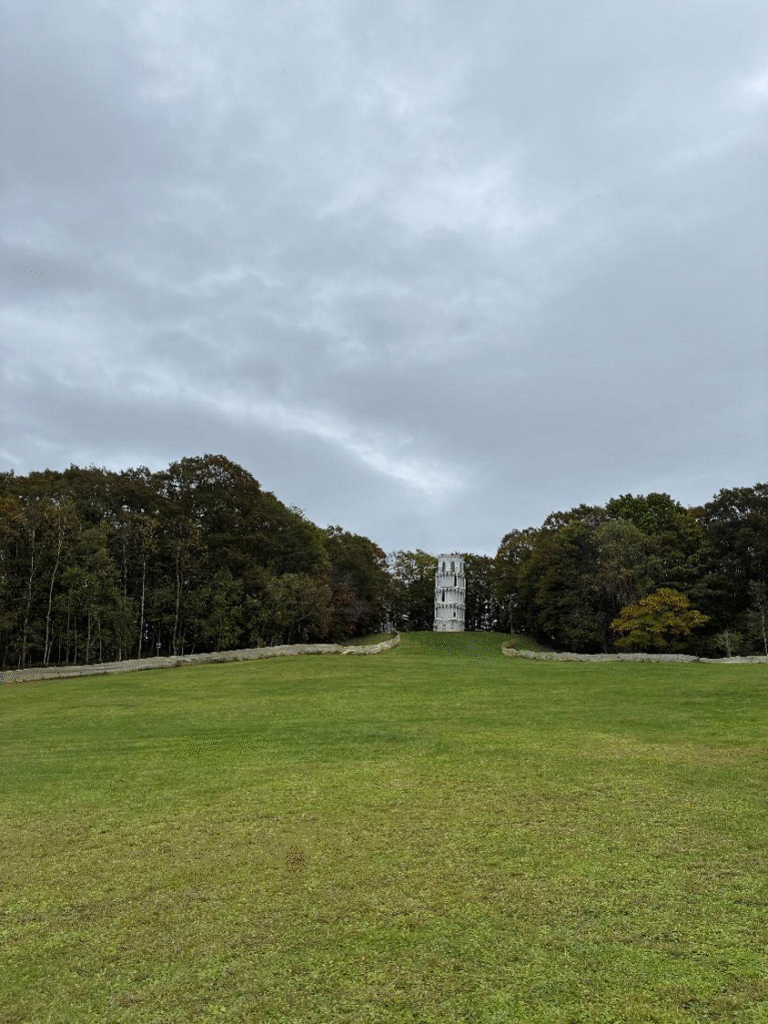 砂川こどもの国の様子