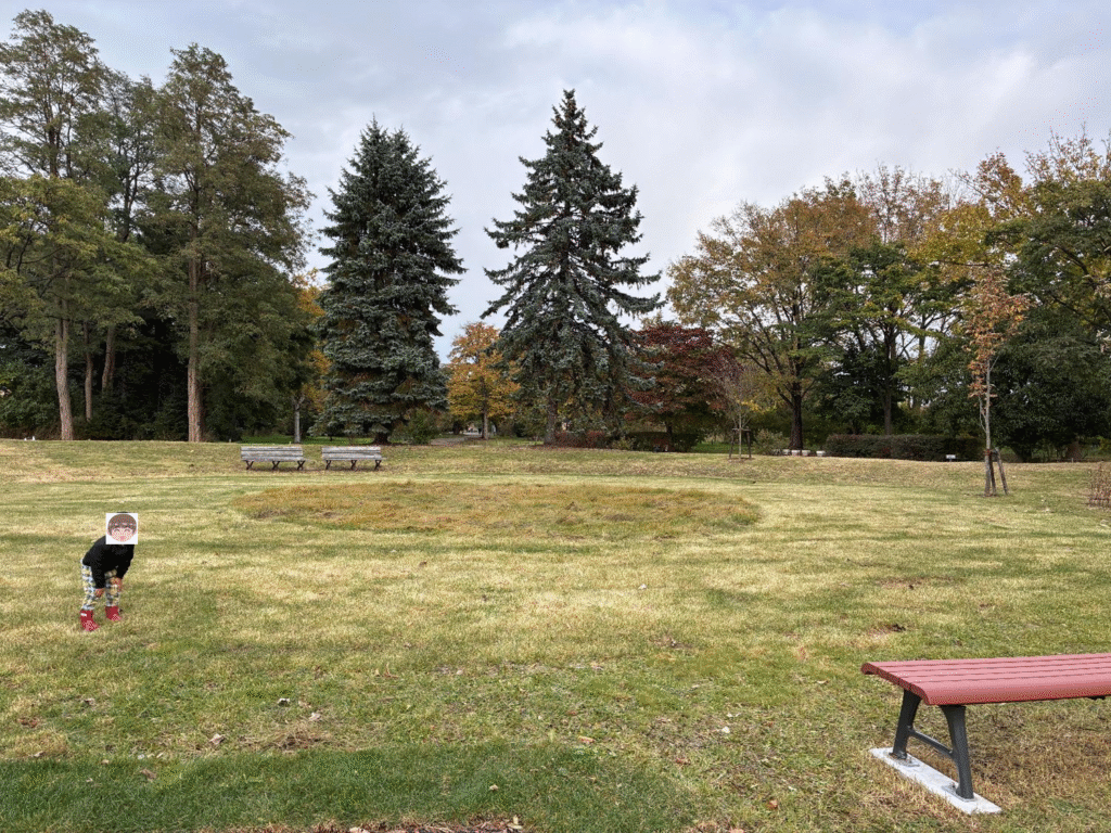 百合が原公園LiLiLiの目の前の広場で子どもが遊ぶ様子