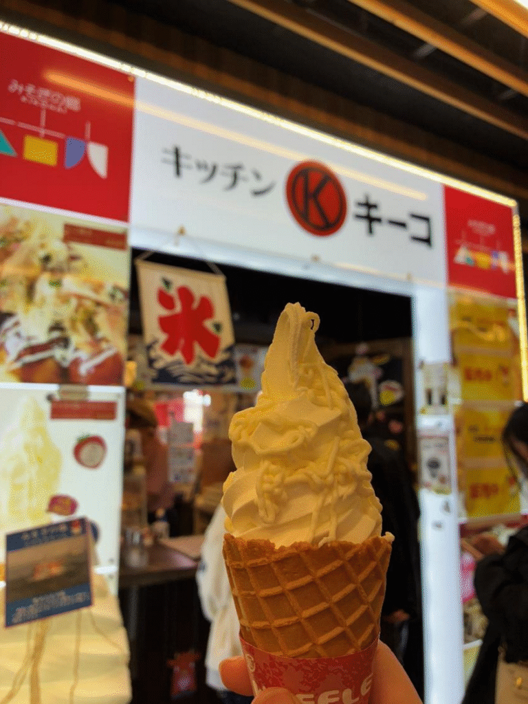 道の駅 きこないのみそぎ塩ソフトクリーム