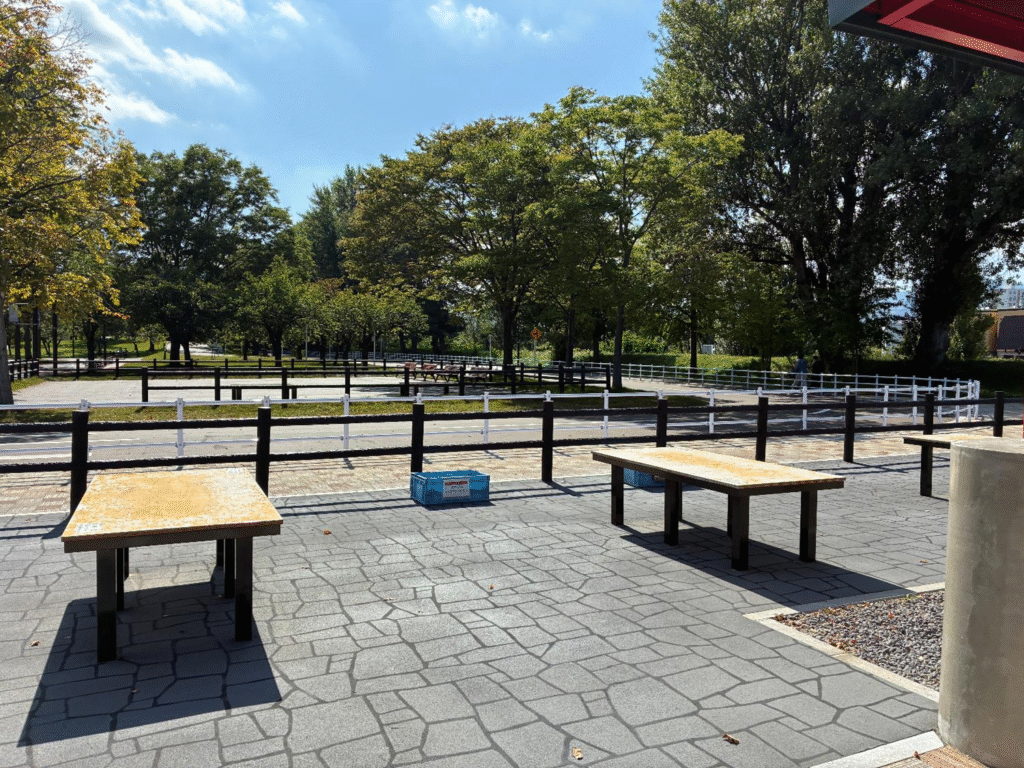 農試公園のトンカチ広場の様子