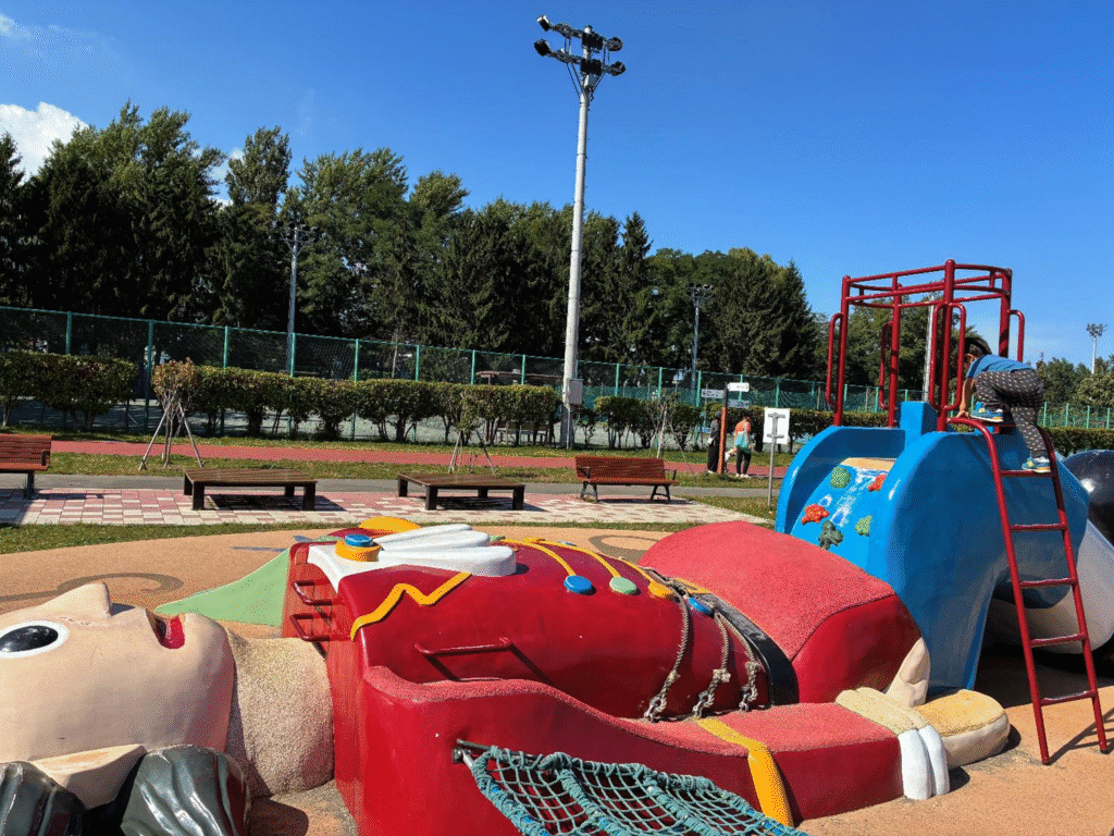 農試公園の複合遊具の様子