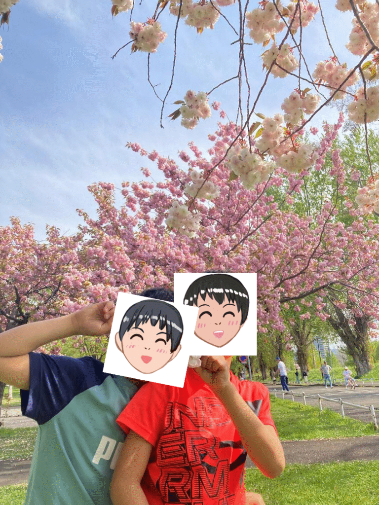 農試公園の桜の様子