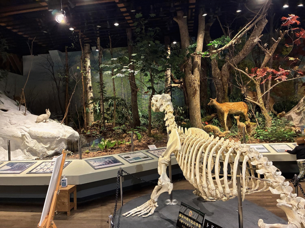 小樽市総合博物館運河館の様子