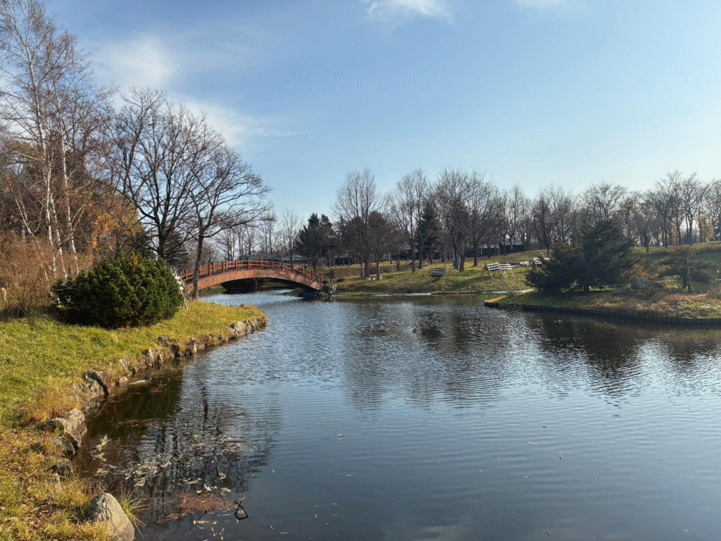 ふるさと公園の池の様子