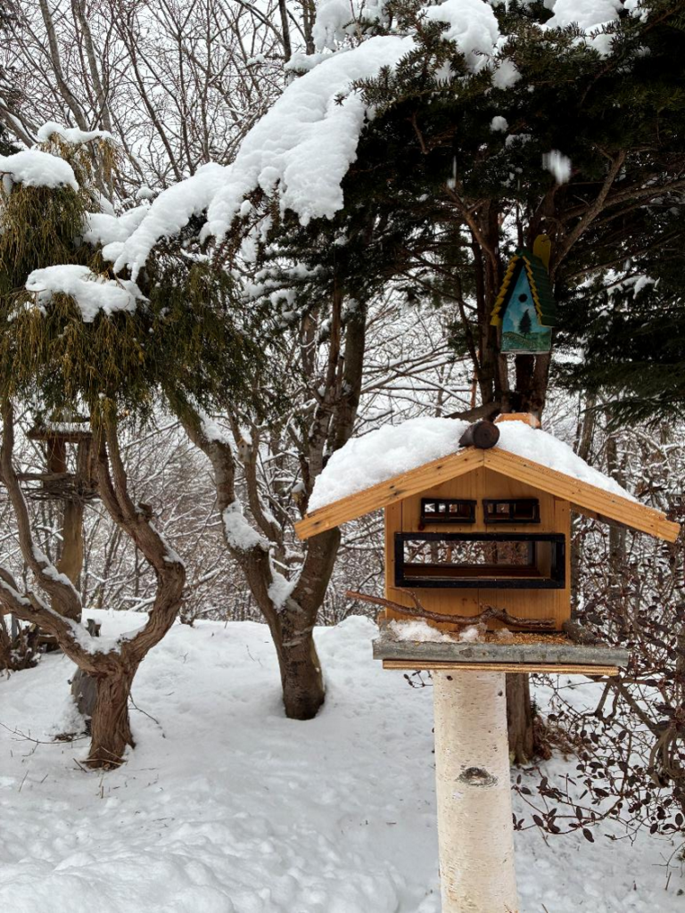 ひだかくるみちゃんハウス第二の様子