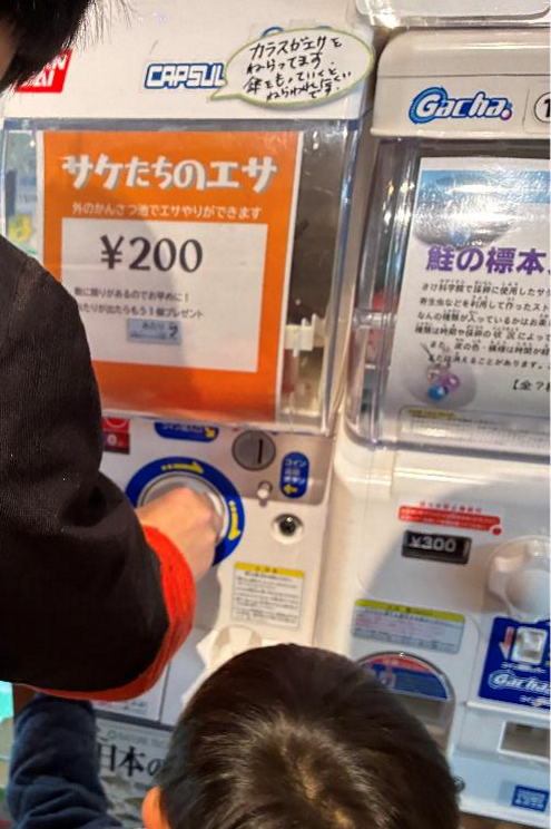 札幌市豊平川さけ科学館のエサを買っている様子