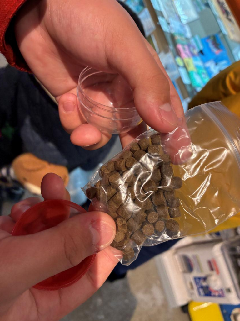 札幌市豊平川さけ科学館のエサを買っている様子