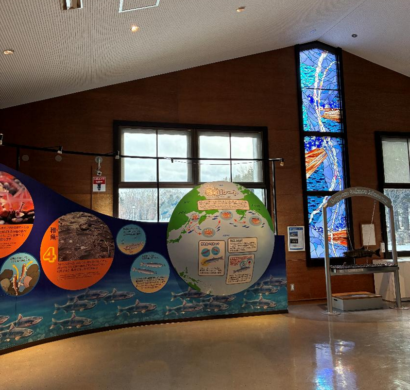 札幌市豊平川さけ科学館の室内展示の様子