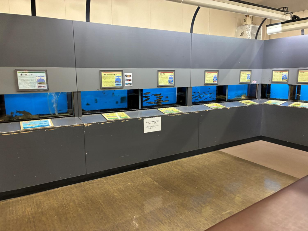 札幌市豊平川さけ科学館の室内展示の様子
