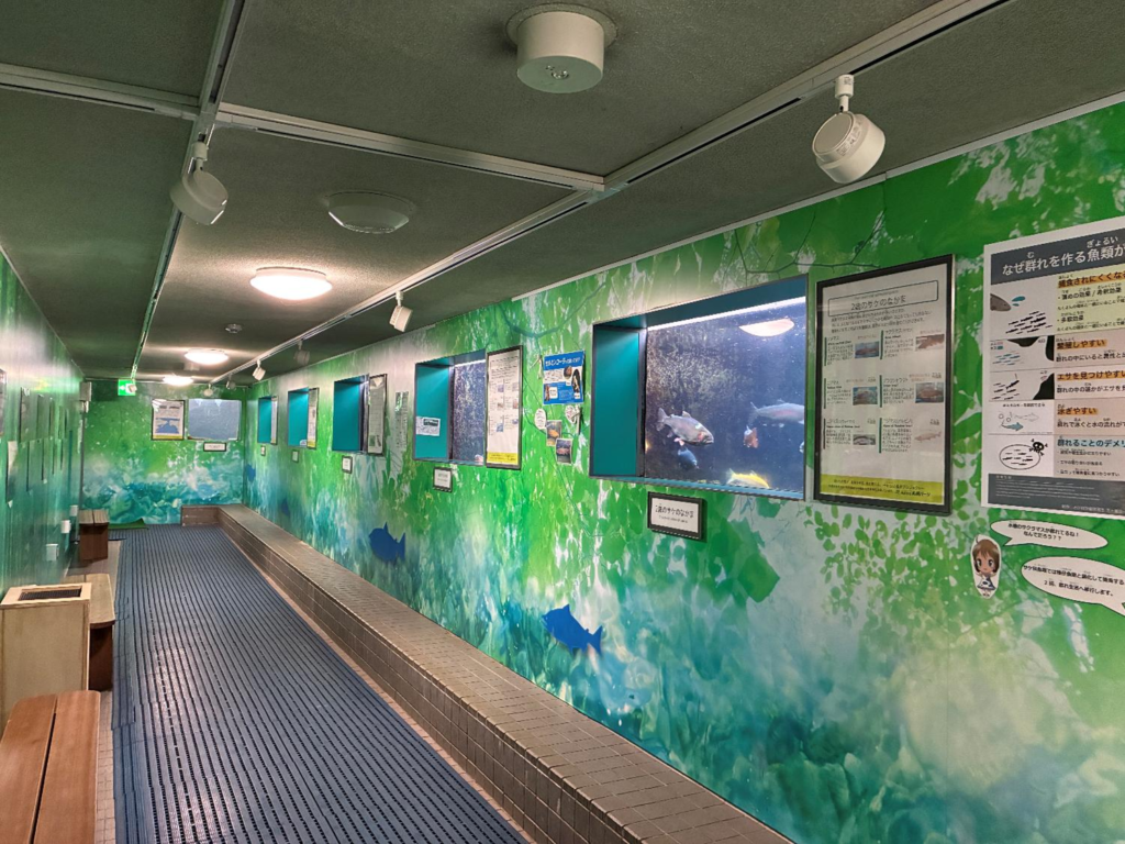 札幌市豊平川さけ科学館の室内展示の様子