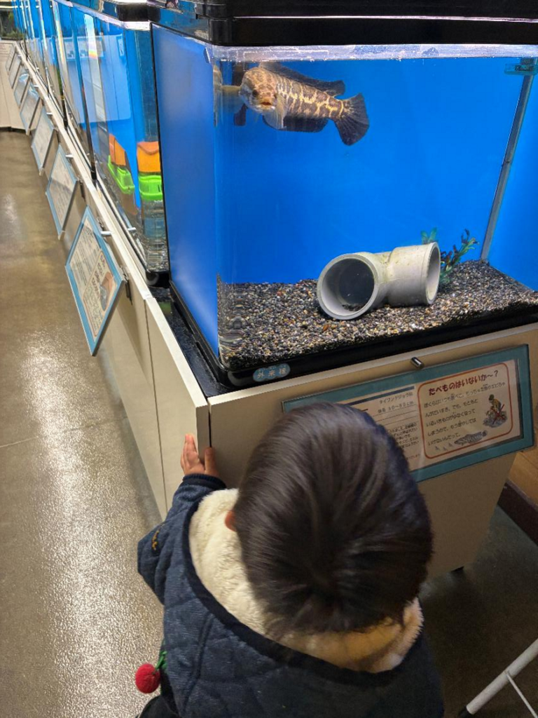 札幌市豊平川さけ科学館の室内展示の様子