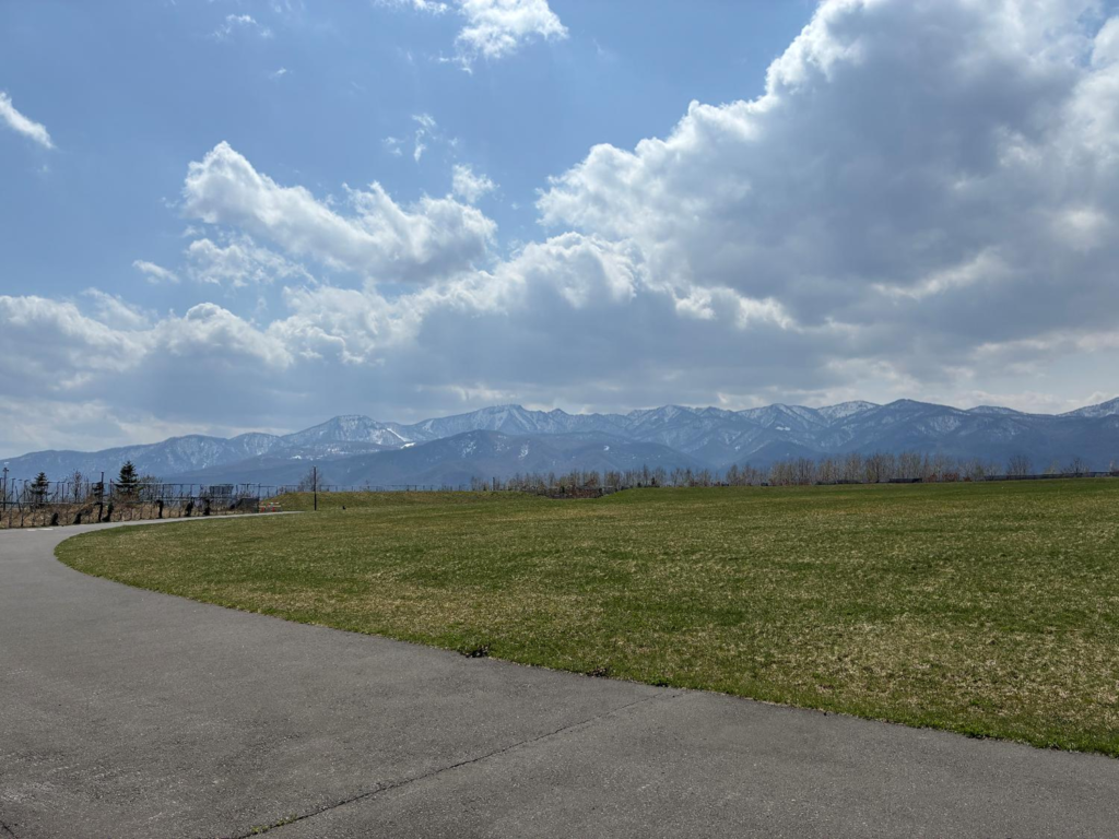 山口緑地の広場の様子