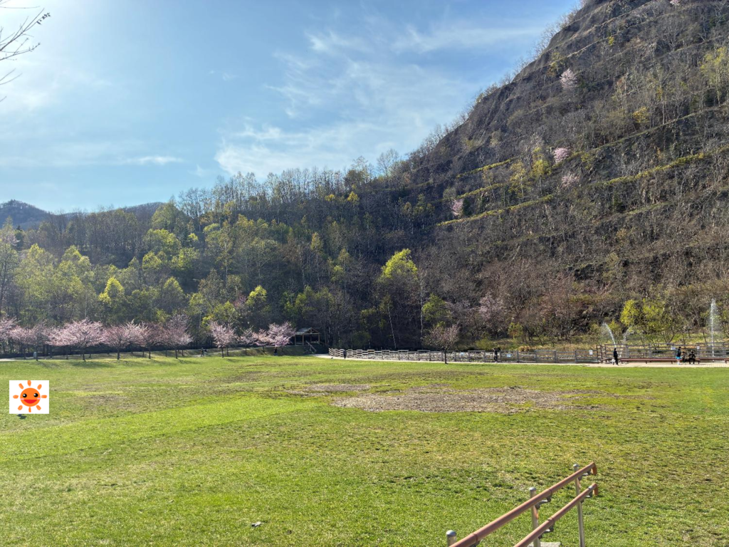 五天山公園の芝生広場の様子