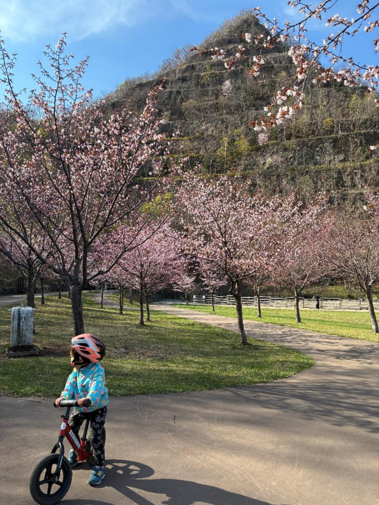 五天山公園の芝生広場の様子
