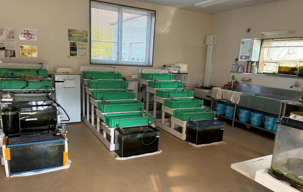 五天山公園の環境学習館の様子