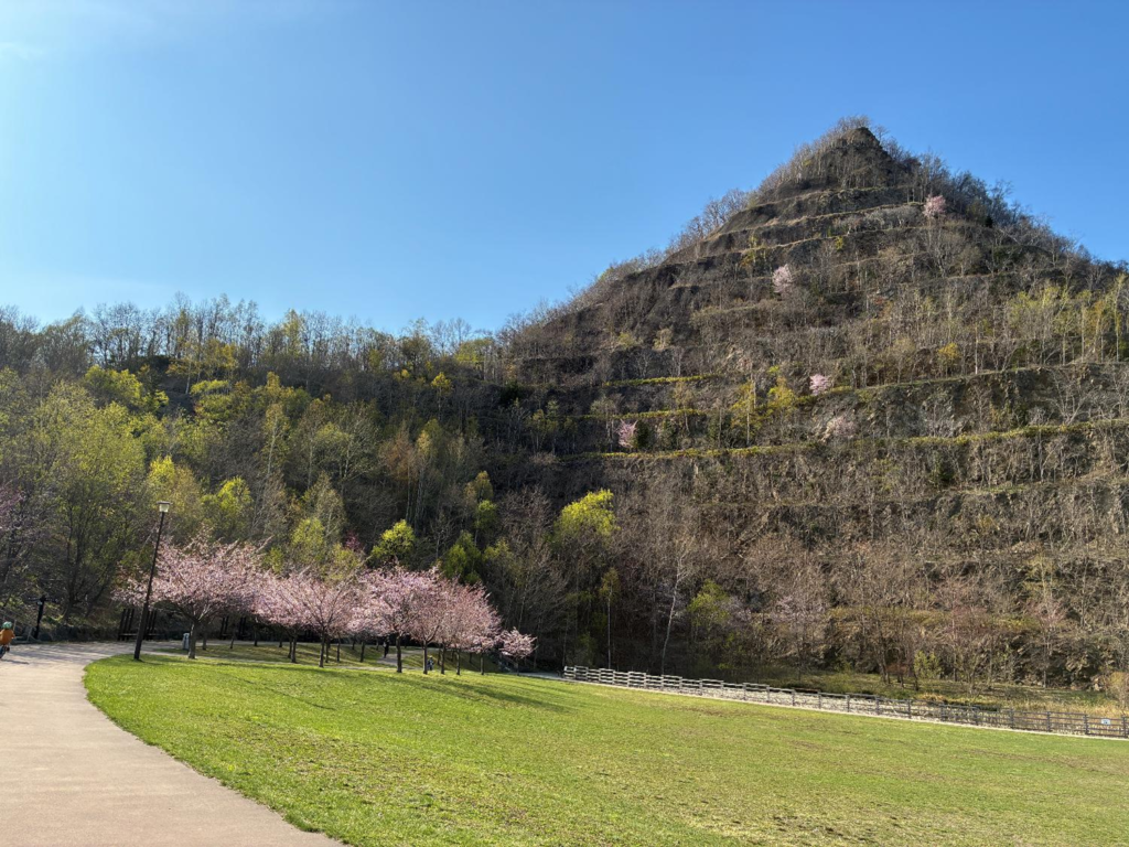 五天山公園の様子