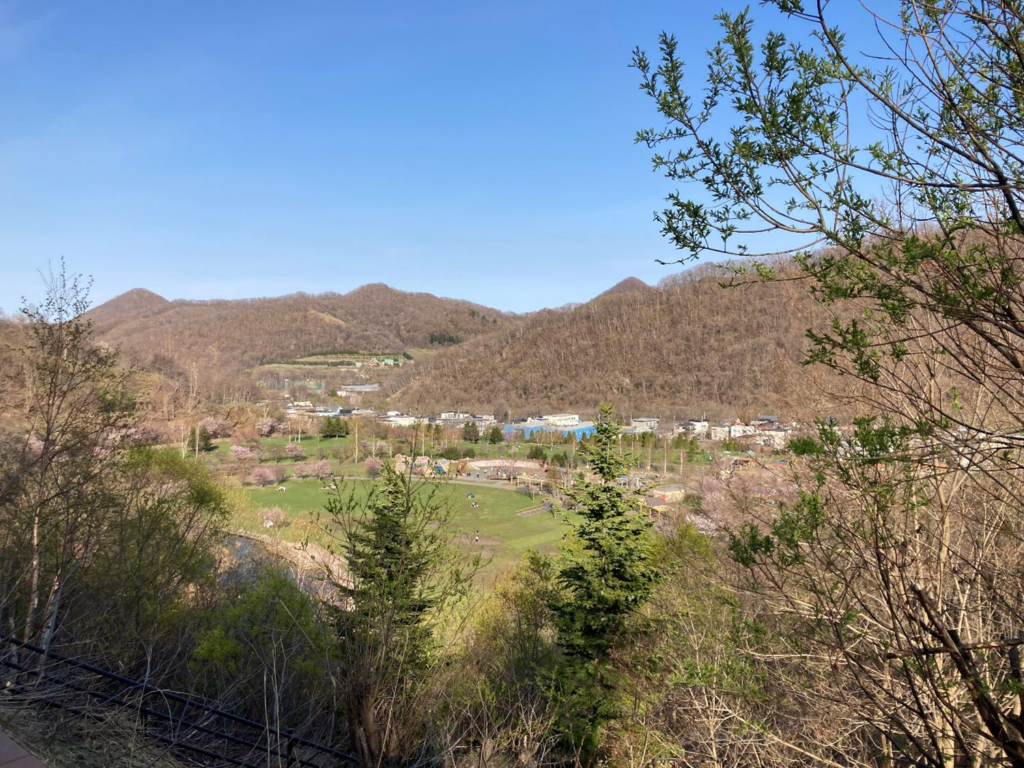五天山公園の芝生広場の全体像
