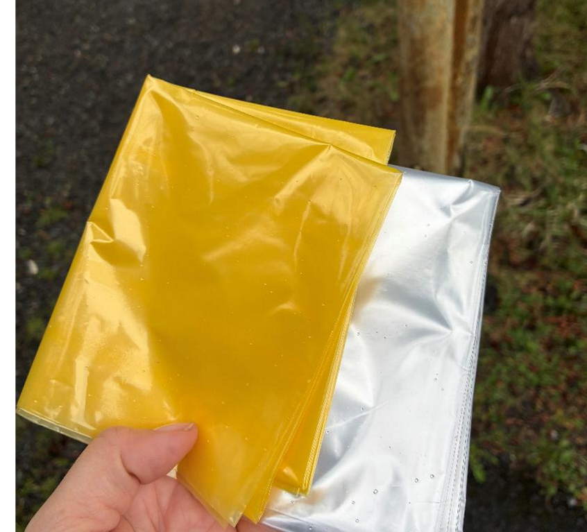 穂別キャンプ場の様子