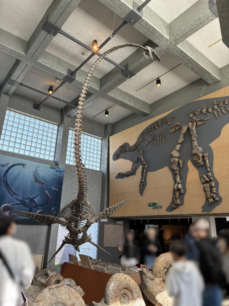 穂別博物館の展示の様子