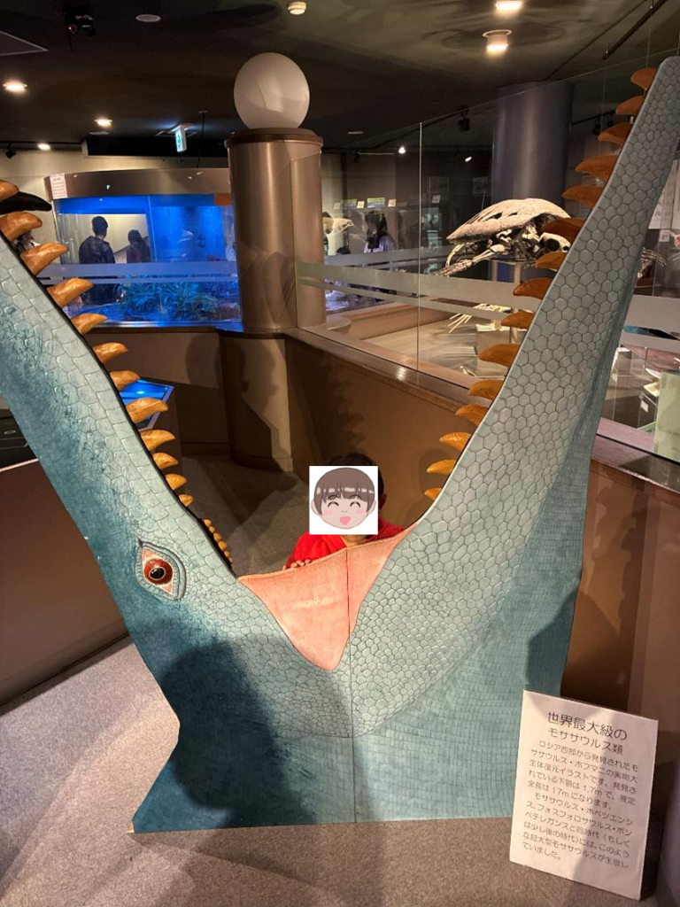 穂別博物館の展示の様子