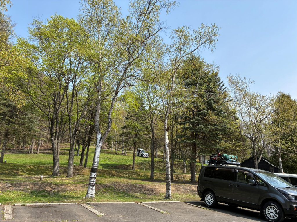 いわみざわ公園キャンプ場の一般サイトの様子