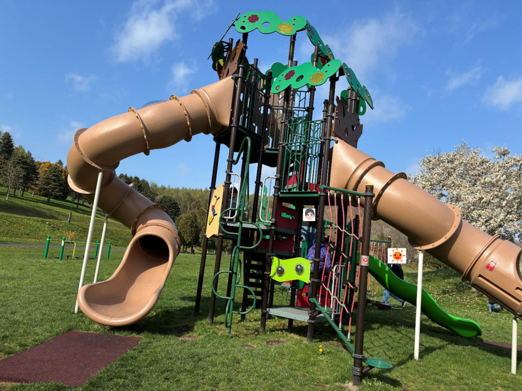 いわみざわ公園キャンプ場の公園で子どもが遊ぶ様子