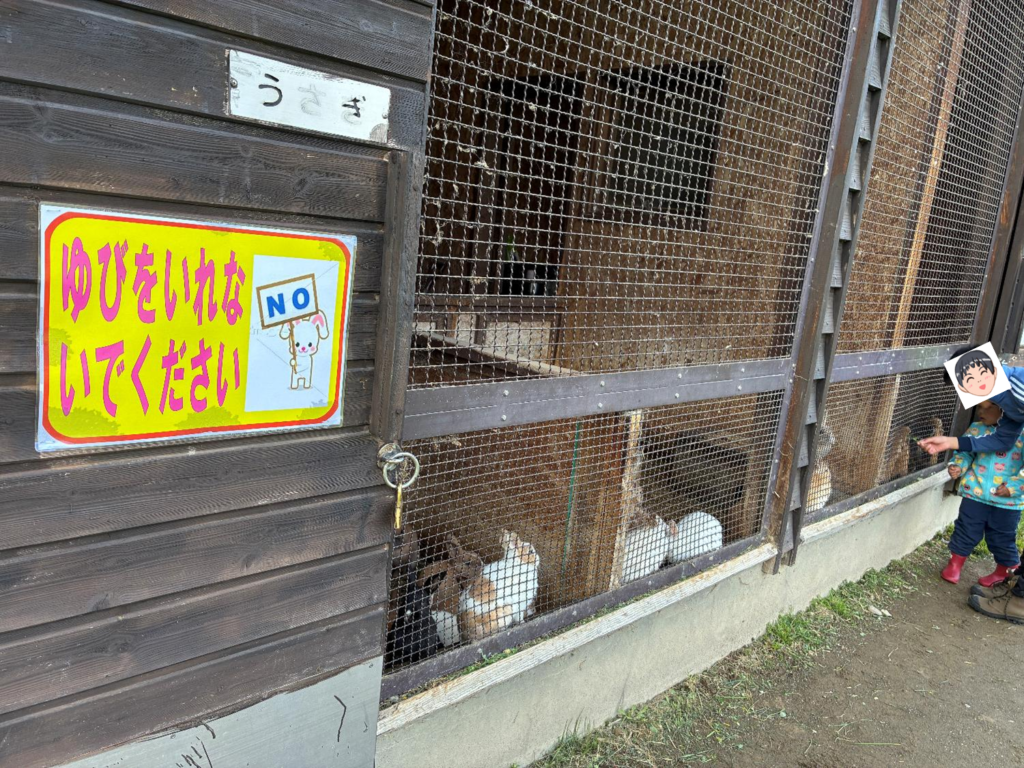 いわみざわ公園キャンプ場の動物の様子