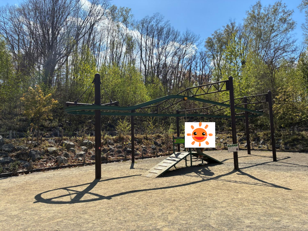 月寒公園の遊具の様子