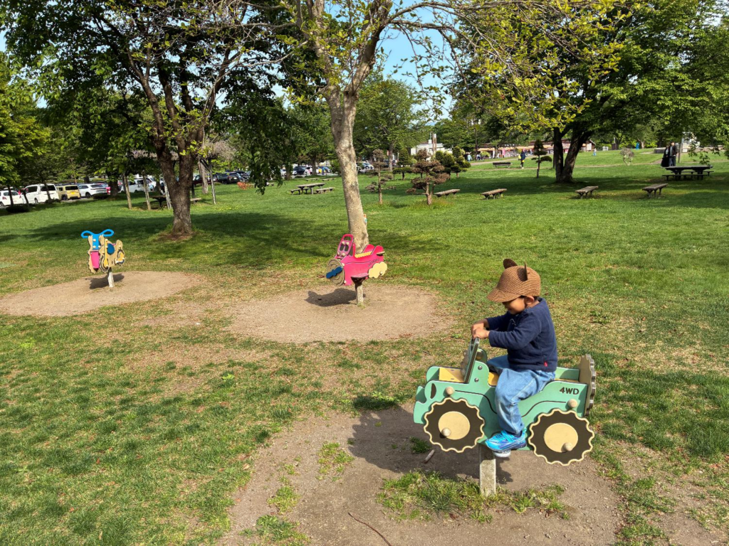 道の駅 名水の郷きょうごく（ふきだし公園）の遊具で子どもが遊ぶ様子