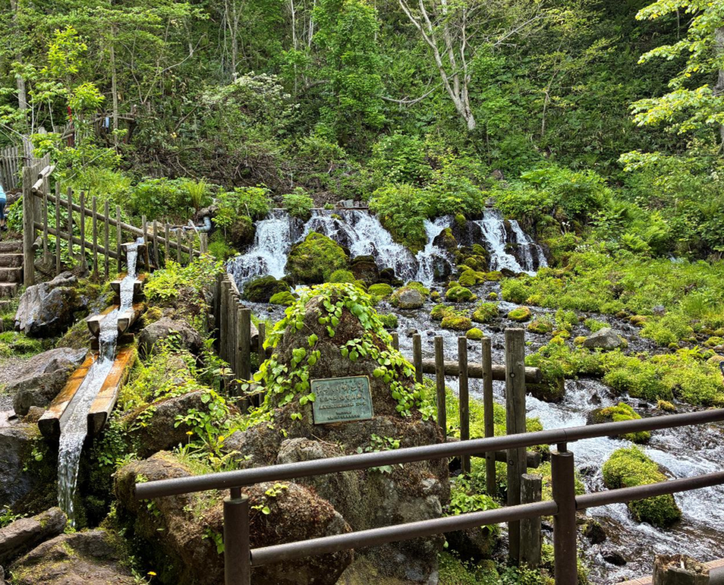 道の駅 名水の郷きょうごく（ふきだし公園）の様子