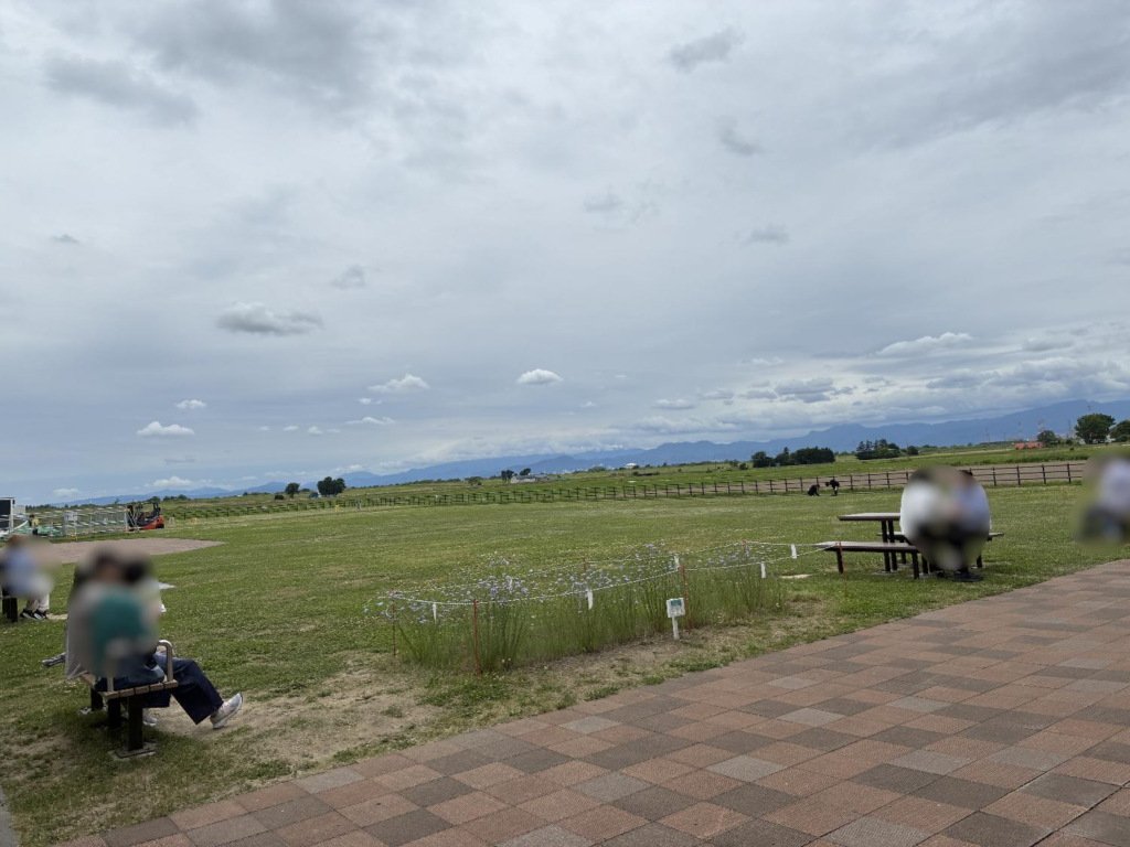 道の駅とうべつの芝生広場の様子