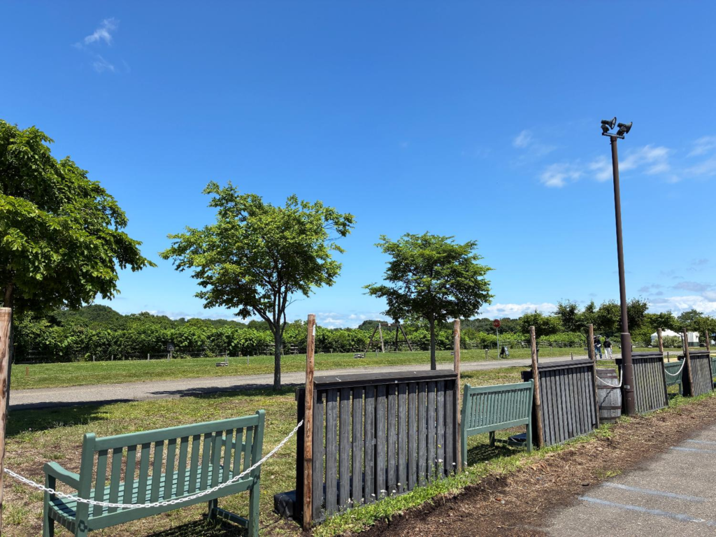 えこりん村のキャンプ場の様子