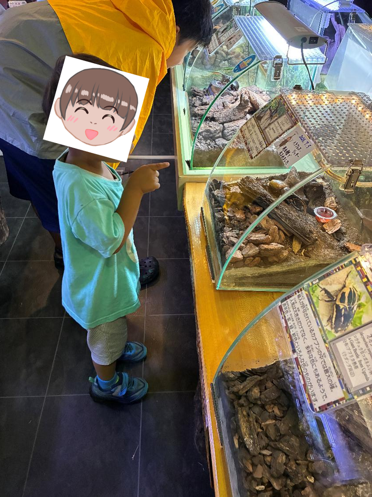 丸瀬布昆虫生態館で子どもが遊ぶ様子