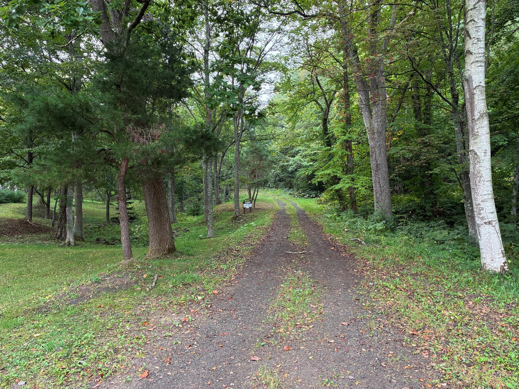五鹿山公園キャンプ場のサイトの様子