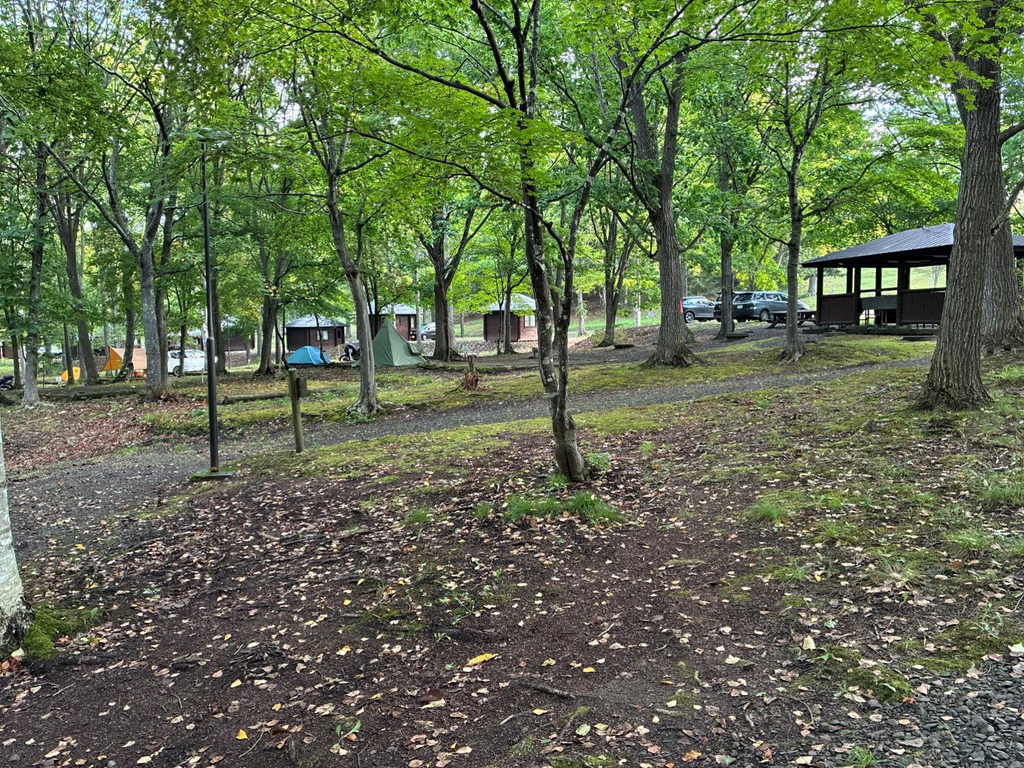 五鹿山公園キャンプ場のサイトの様子